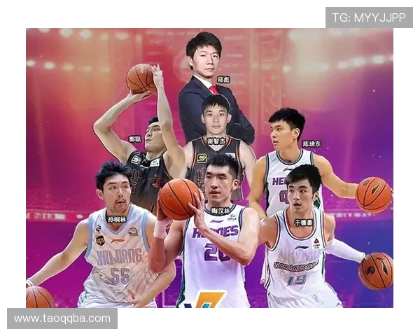 山东CBA篮球队现役球员名单及潜力球员解析